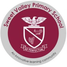 Sweet Valley Primary School uses the SchoolCoding In-school Coding Curriculum